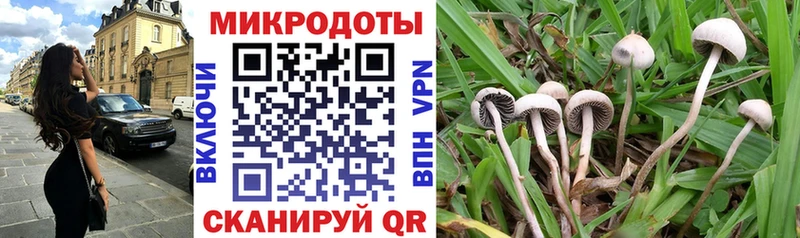 как найти наркотики  Юрюзань  Псилоцибиновые грибы мицелий 